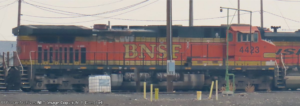 BNSF 4423